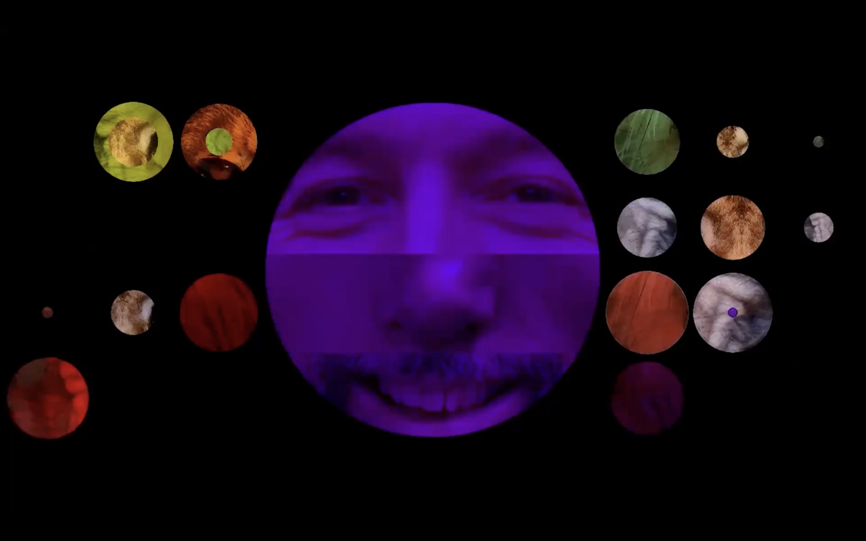 (signed) This Is Not What Thought / Yuri Hasegawa